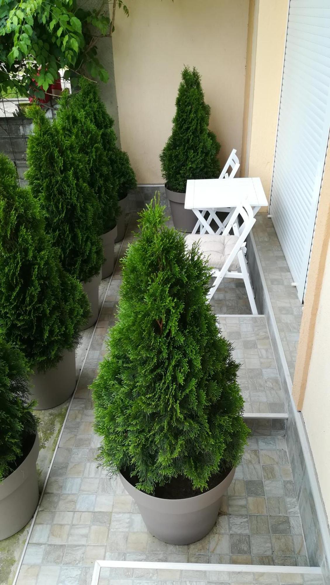 M4U Apartments Ni Exteriör bild